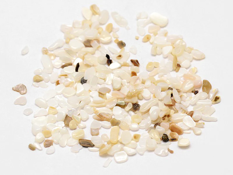 50 grammes de fragments de coquillages pour Jesmonite - 2-3 mm - Image 2