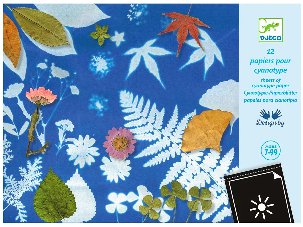 Cyanotype 12 papiers créatifs - Djeco