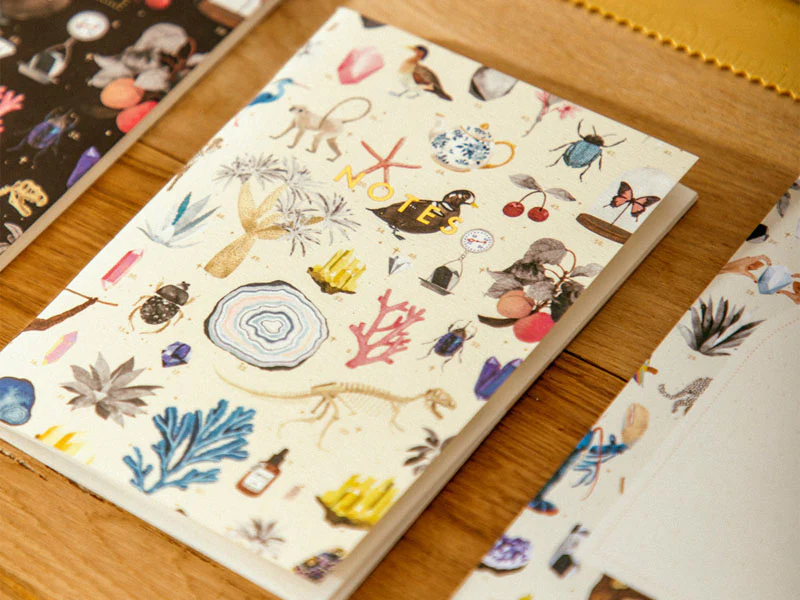 Duo de Carnets A6 Curiosity - ATWS - Image 2