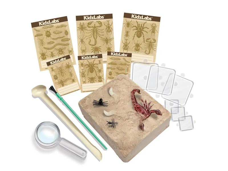 Kit DAM - Déterre tes insectes - Creepy Crawly - Image 3