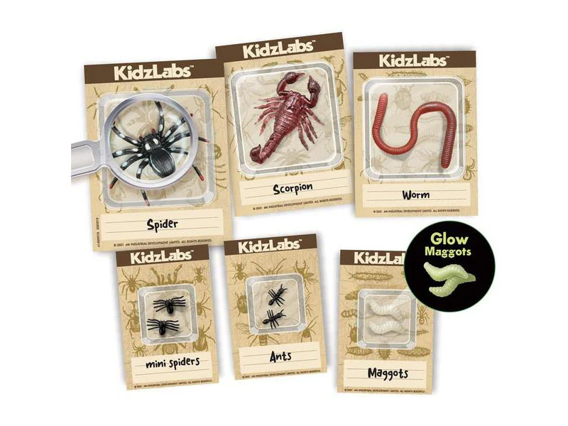 Kit DAM - Déterre tes insectes - Creepy Crawly - Image 4