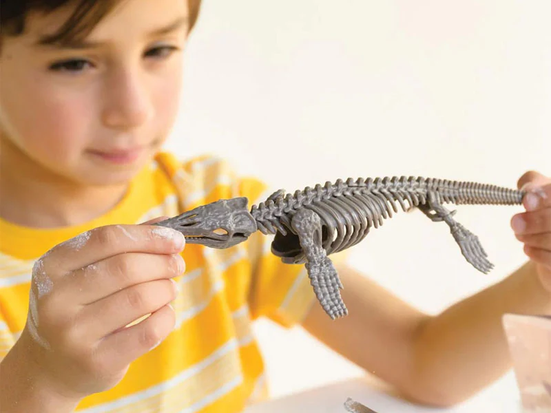 Kit DAM - Déterre ton dinosaure - Mosasaurus - Image 2