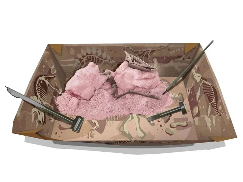 Kit DAM - Déterre ton dinosaure - Pteranodon - Image 4