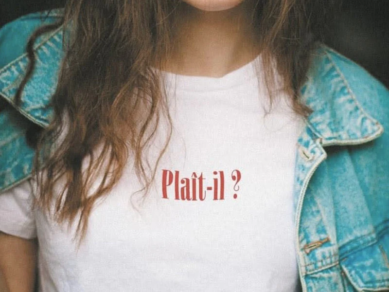 Kit de broderie sur vĂȘtement - Fierce - Image 4