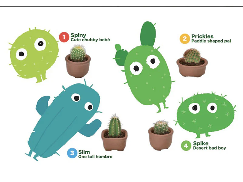 Kit Green capsule pour faire pousser un mini Cactus - Image 4
