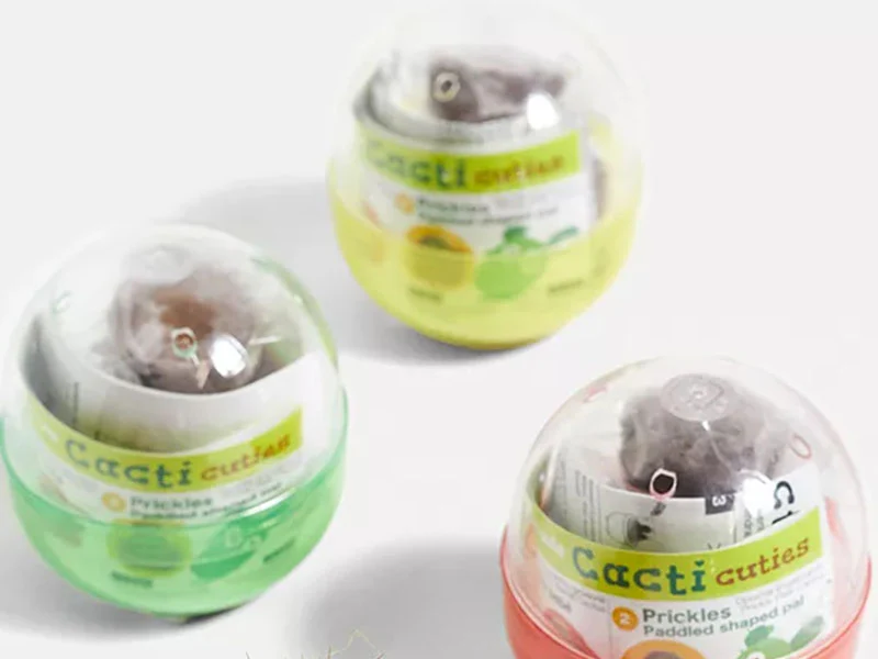Kit Green capsule pour faire pousser un mini Cactus - Image 7
