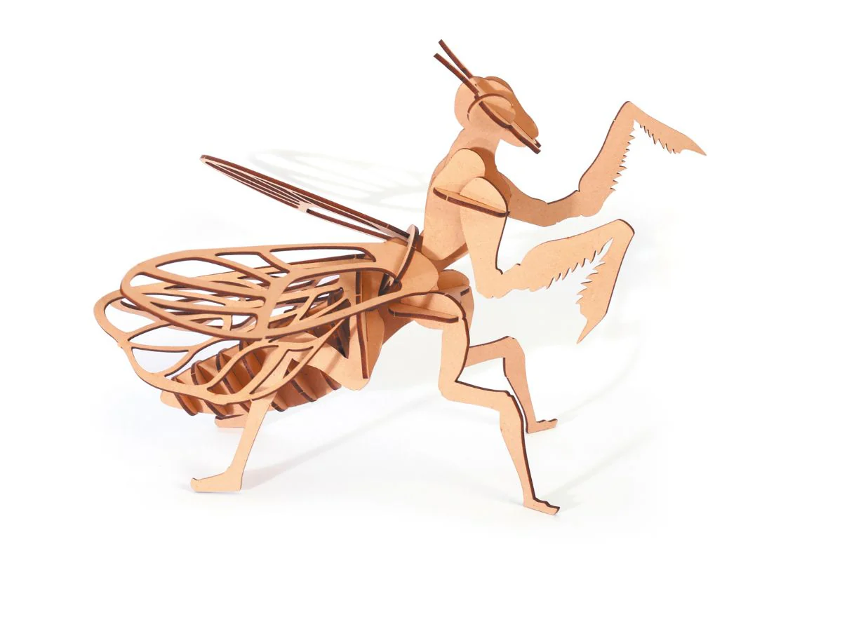 Maquette en bois 3D - Mante religieuse - Image 3