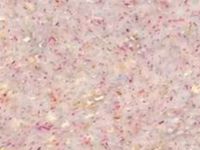 Pâte Fimo Effect Botanique Rose - Image 3