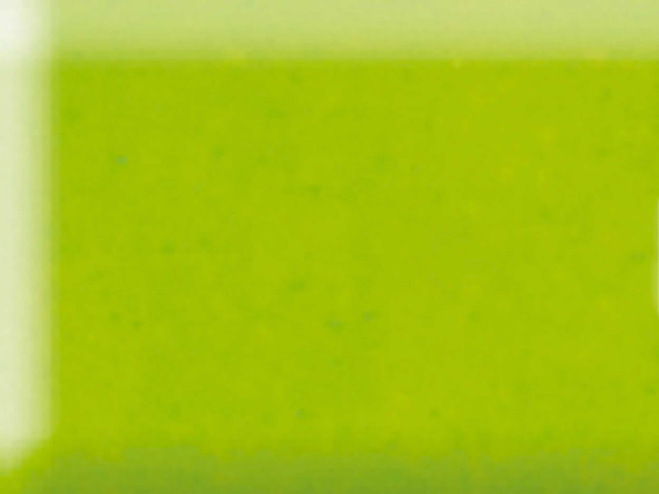 Pâte Fimo Soft Vert Pomme 50 - Image 3