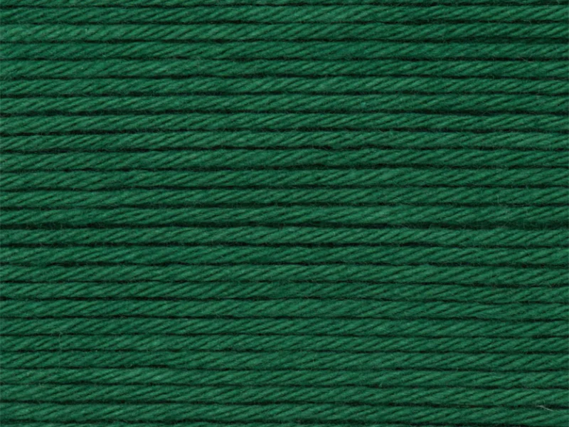 Pelote Ricorumi coton DK - Vert sapin (50) - Image 6